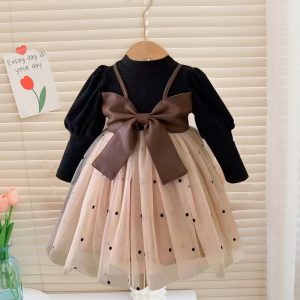 Baby Girl Princess Dress Spring and Autumn New Spring Dress Girls' dress Dress One-year-old Baby Western Style Dress Skirt